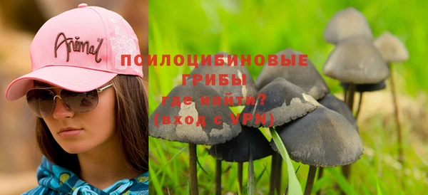 прущие крисы Михайловск