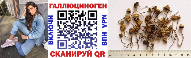 Галлюциногенные грибы Magic Shrooms  Купить  Зея 
