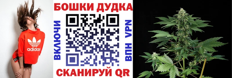 Шишки марихуана планчик  Купить  Зея 